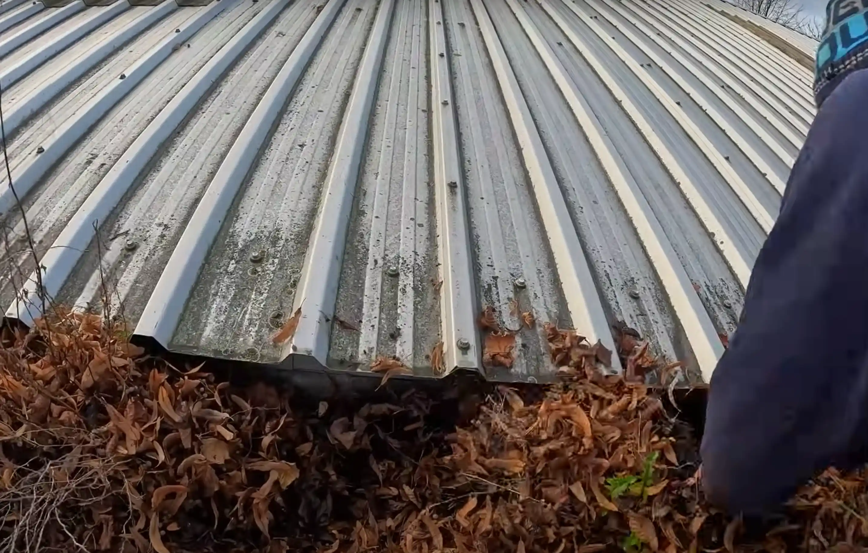 Gutter Cleaning